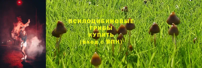 Галлюциногенные грибы MAGIC MUSHROOMS  Барыш 